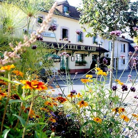 Logis Auberge À La Tête De Lard La Ferté-Imbault Esterno foto