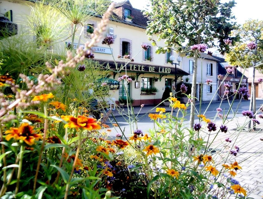 Logis Auberge À La Tête De Lard La Ferté-Imbault Esterno foto